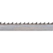 Axcaliber GT Bandsaw Blade 3124mm x 3/8" x 6tpi